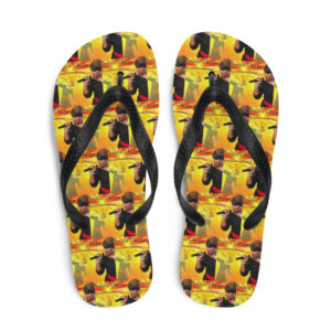 Flip-Flops